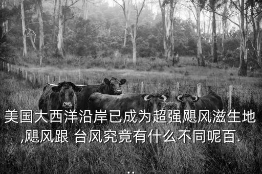 美國臺風,美國稱為龍卷風的故鄉熱帶氣旋季節為6月至12月