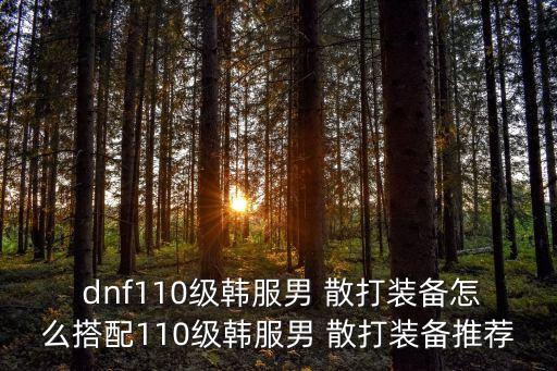 dnf110級韓服男 散打裝備怎么搭配110級韓服男 散打裝備推薦