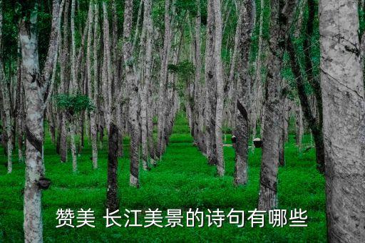 贊美 長江美景的詩句有哪些