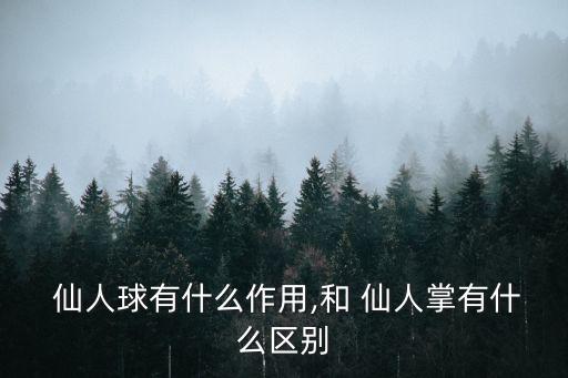 仙人球的作用,仙人球的作用有哪些?