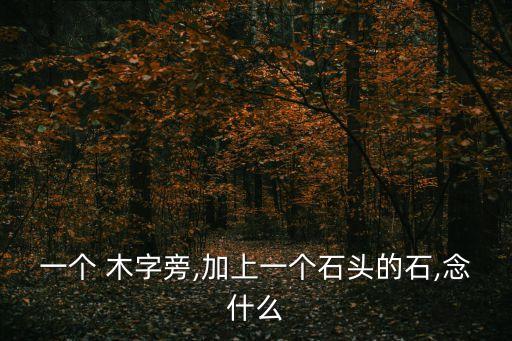 木字旁一個石,樹木石頭都是寶!寶字旁加個柘zhe1
