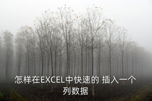 怎樣在EXCEL中快速的 插入一個(gè)列數(shù)據(jù)