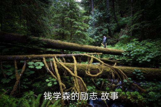 錢學森的故事簡介,錢學森回國的故事