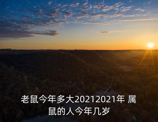 老鼠今年多大20212021年 屬鼠的人今年幾歲