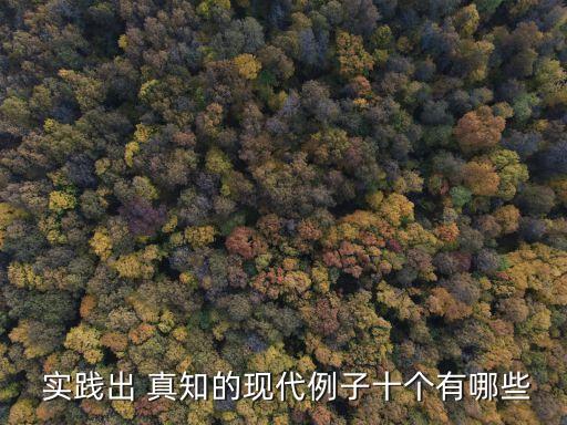  實踐出 真知的現代例子十個有哪些