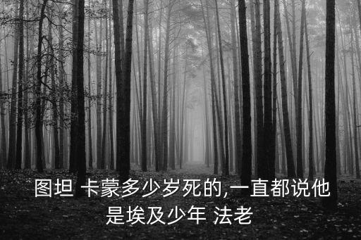  圖坦 卡蒙多少歲死的,一直都說他是埃及少年 法老