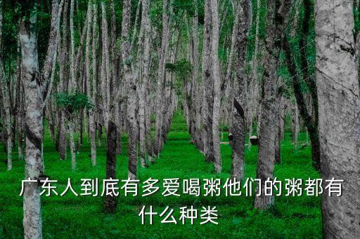 廣東粥,廣東人愛吃各種粥
