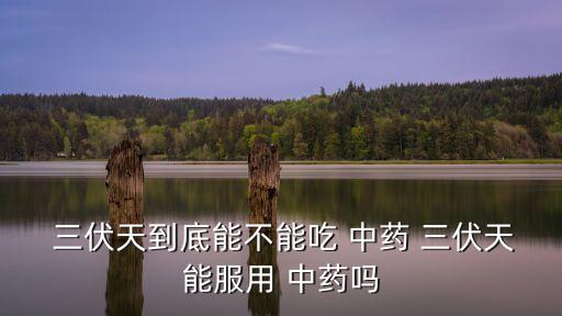三伏天喝中藥好嗎,三伏天可吃中藥嗎?
