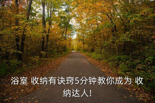 收納技巧,衣柜收納技巧有哪些?