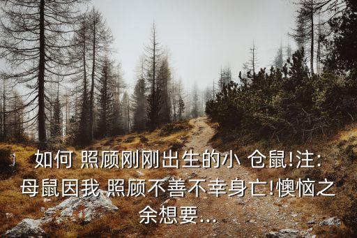 照顧小倉(cāng)鼠,怎么照顧剛出生的小倉(cāng)鼠?