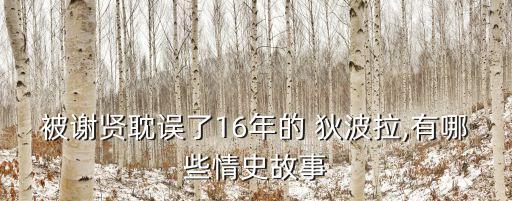 狄波拉電影,狄波拉怎么爆紅?