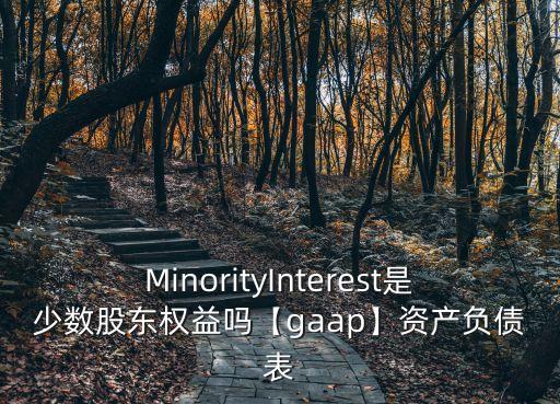 MinorityInterest是少數股東權益嗎【gaap】資產負債表
