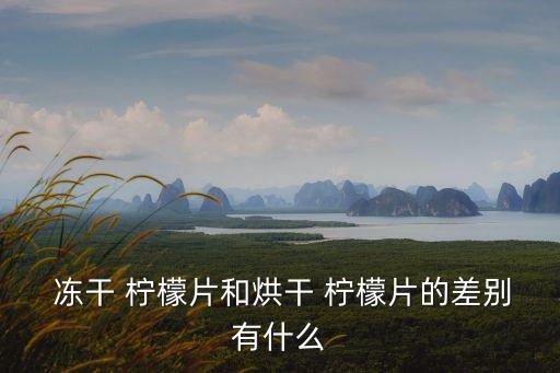  凍干 檸檬片和烘干 檸檬片的差別有什么