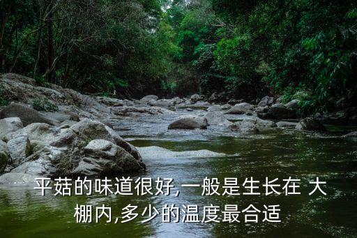 大棚平菇,平菇的來歷