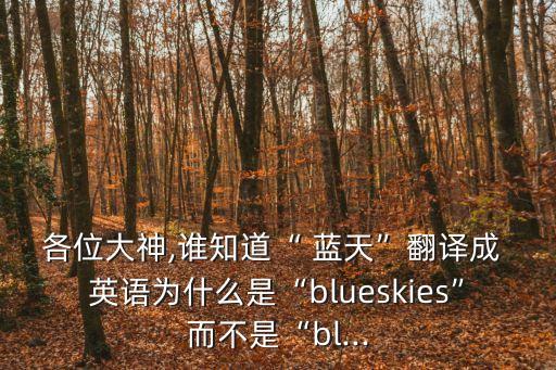 各位大神,誰知道“ 藍(lán)天”翻譯成 英語為什么是“blueskies”而不是“bl...