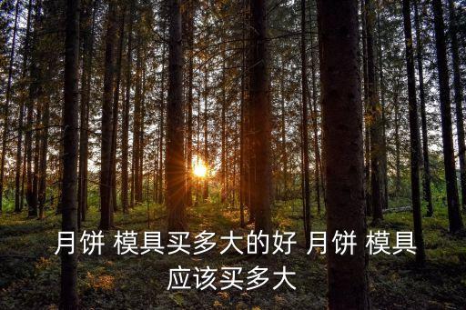  月餅 模具買多大的好 月餅 模具應該買多大