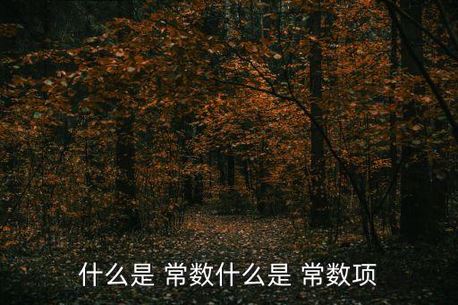 什么是常數,創建常數可使用const語句