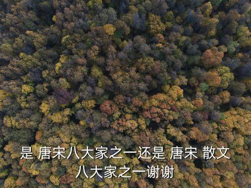 是 唐宋八大家之一還是 唐宋 散文八大家之一謝謝