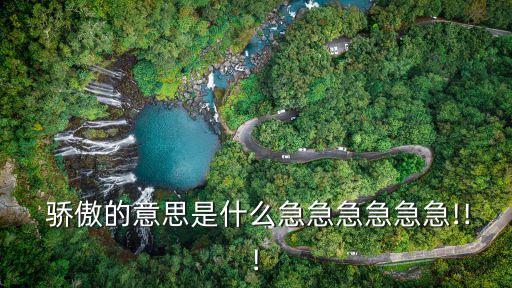 驕傲是什么意思,驕傲是什么意思?