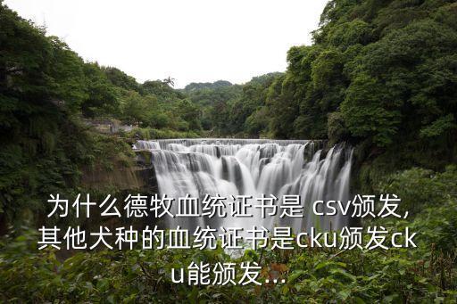 csv德國牧羊犬俱樂部,民間德牧俱樂部旗下平臺錘系德牧黃頁上線