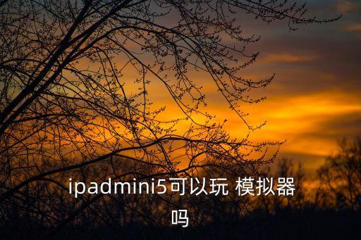  ipadmini5可以玩 模擬器嗎