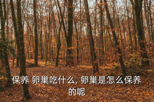 保養 卵巢吃什么, 卵巢是怎么保養的呢
