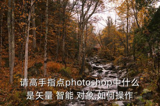 請高手指點photoshop中什么是矢量 智能 對象,如何操作