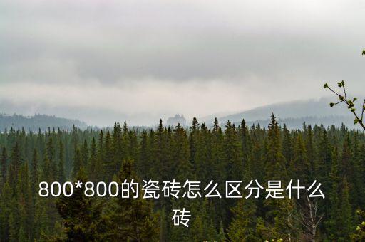 拼花磚,拼花地磚好看嗎?