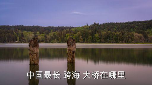 跨海大橋,青島膠州灣跨海大橋歷經30年終于通車