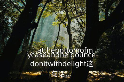 ...atthebottomofmycaseandhe pouncedonitwithdelight這句話...