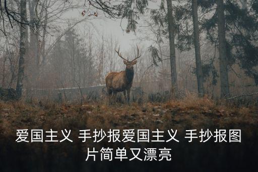 愛國主義 手抄報愛國主義 手抄報圖片簡單又漂亮