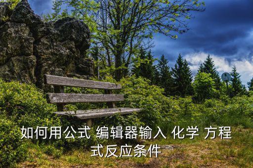 如何用公式 編輯器輸入 化學 方程式反應條件