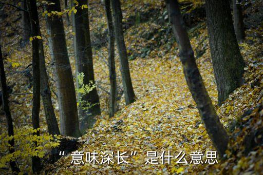 意味深長是什么意思