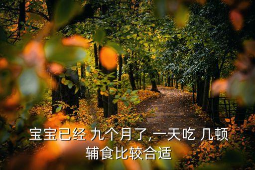  寶寶已經(jīng) 九個(gè)月了,一天吃 幾頓 輔食比較合適