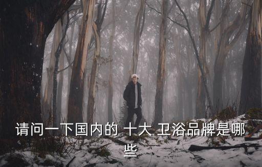 請問一下國內的 十大 衛浴品牌是哪些