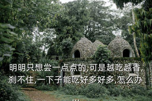 明明只想嘗一點點的,可是越吃越香,剎不住,一下子能吃好多好多,怎么辦...