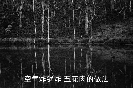 空氣炸鍋炸 五花肉的做法