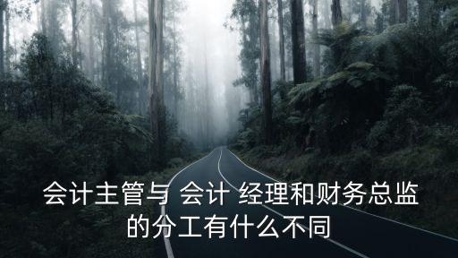 會計經理,根據公司規模不同每個公司職責也不同