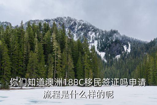 你們知道澳洲188C移民簽證嗎申請流程是什么樣的呢