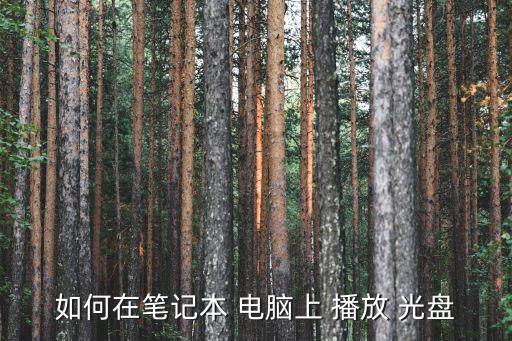 如何在筆記本 電腦上 播放 光盤