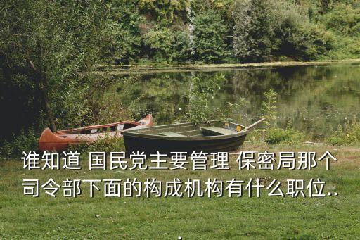 國民黨保密局,國民政府軍事委員會調查統計局由童軍演變而來