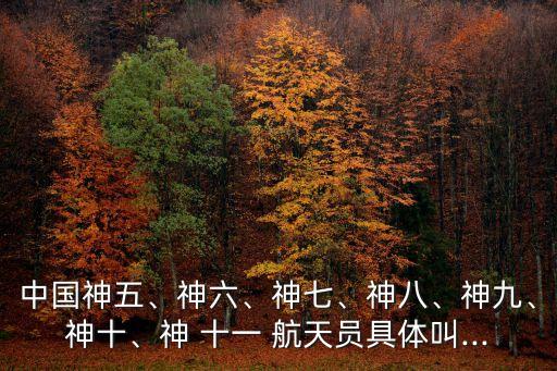中國神五、神六、神七、神八、神九、神十、神 十一 航天員具體叫...