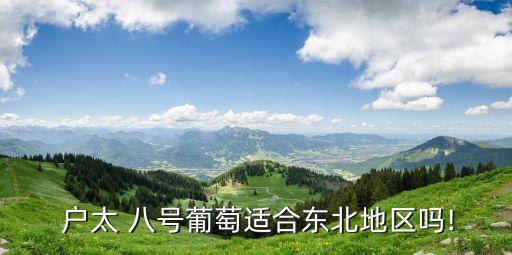  戶太 八號葡萄適合東北地區嗎!