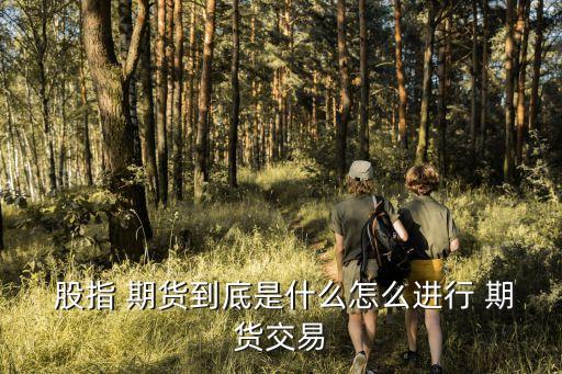 什么是股指期貨,股指期貨是什么?