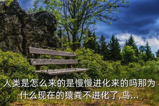 猿糞,如何認識不熟悉的女生?建議先別抱太多幻想