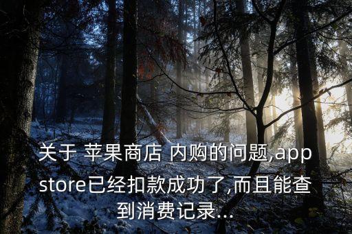 關(guān)于 蘋果商店 內(nèi)購(gòu)的問題,appstore已經(jīng)扣款成功了,而且能查到消費(fèi)記錄...