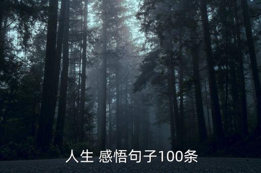  人生 感悟句子100條