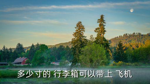 飛機行李箱尺寸要求,什么尺寸的行李箱可以拿飛機?