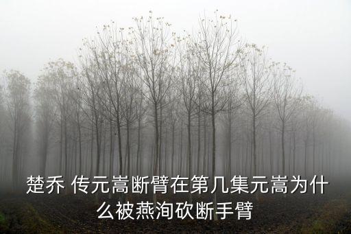 楚喬傳元嵩,被楚喬救了馮和沒在一起?