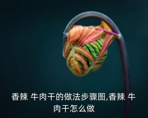 牛肉干的做法大全,牛肉干怎么做?